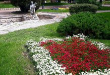 У току је пролећно уређење зелених и цветних површина у Зајечару Пролећно уређење зелених и цветних површина у Зајечару