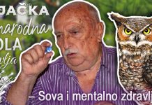 Рајачка народна школа здравља: О сови и менталном здрављу Рајачка народна школа здравља: Сова и ментално здравље