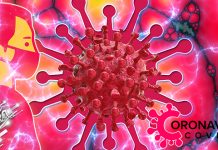 Корона вирусом заражене још 74 особе у Србији, нема преминулих Корона вирус — COVID-19