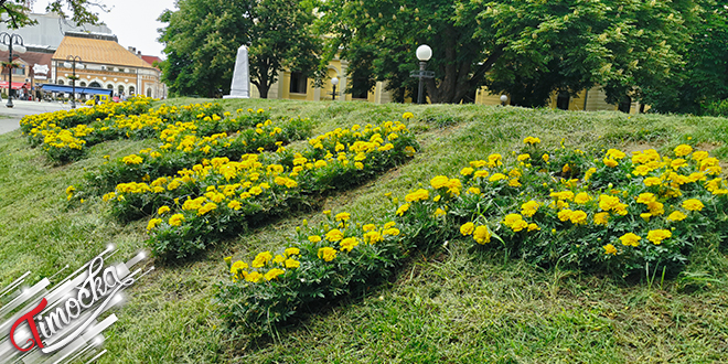 Град Зајечар — Центар
