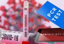 Нова услуга за обавештења о резултатима PCR теста Портал еУправа: Услуга за обавештења о резултатима PCR теста