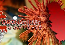 У Србији 83 новозаражених корона вирусом, једна особа преминула у последња 24 сата Република Србија — COVID-19