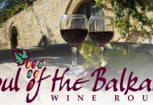 Почела са радом специјализована веб платформа путеви вина „Дух Балкана” Веб платформа путеви вина „Дух Балкана”