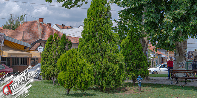 Зајечар — "Острво"