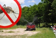 Акција сузбијања ларви комараца на територији града Зајечара 2. јуна Запрашивање ради сузбијања комараца