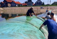 Акција чишћења бране на Црном Тимоку успешно реализована Акција чишћења бране на Црном Тимоку у Зајечару