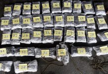 Боранин ухапшен у Сомбору: У поду аутомобила пронађено више од 12 килограма марихуане Боранин ухапшен у Сомбору: У поду аутомобила пронађено више од 12 килограма марихуане