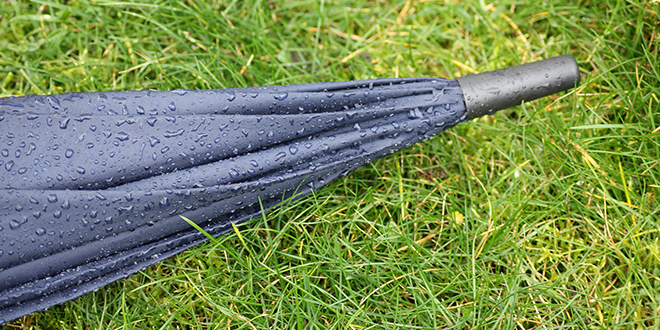 Кишобран на травнатој површини Кишобран на травнатој површини