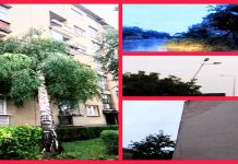 Невреме у Зајечару изазвало бројне штете Временска непогода у Зајечару