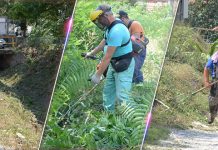 Зајечар: Уређење градских јаруга и крчење растиња Зајечар: Уређење градских јаруга и крчење растиња