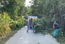 Крчи се пут ка Чокоњару и каменолому, завршетак радова до петка Крчење пута ка Чокоњару и каменолому