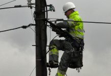 Поједини потрошачи у Зајечару и Ласову сутра без струје Електричар на бандери