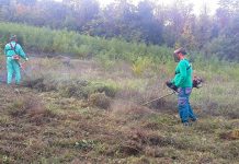 Зајечар: Почеле припреме за предстојећу скијалишну сезону ЈКП „Тимок – одржавање”: Уређење скијалишта у Зајечару