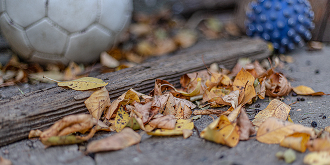 Јесен, опало лишће