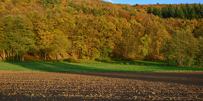 Поље, пољопривредно земљиште