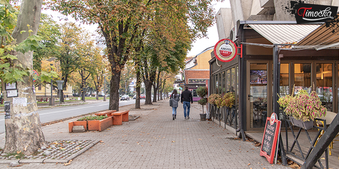 Зајечар — Центар Зајечар — Центар
