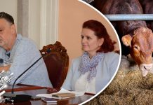 Сутра потписивање уговора са зајечарским сточарима Зајечар: Потписивање уговора са зајечарским сточарима