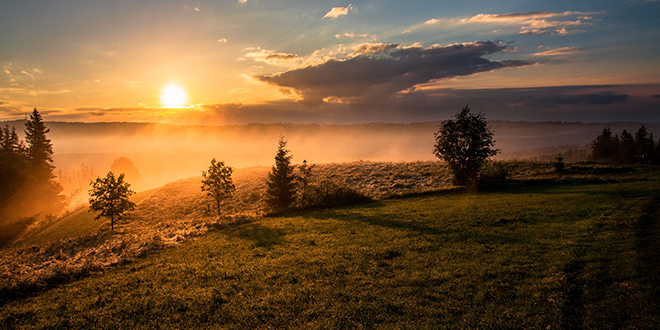 Сунце, магла