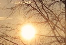 Стиже нам сунце и топло време, данас и до 15 степени