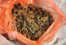 ПУ Бор: Полиција приликом претреса стана осумњиченог пронашла марихуану Марихуана у кеси