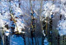 Сунчано и хладно, до 6 степени Киша, снег