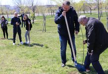Акција „Посади Свој Хлад“: Стигле саднице у Зајечар, Бор, Кладово и Сокобању