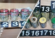 ПУ Сокобања: Три особе ухапшене због дроге