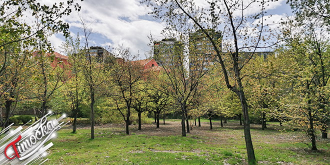 Grad Bor