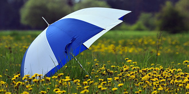 Цвеће, кишобран