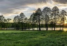 Понегде са сунчаним интервалима, у осталим крајевима местимично са кишом и локалним пљусковима