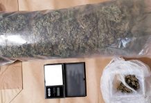 ПУ Сокобања: Претресом стана осумњиченог, полиција пронашла нешто више од једног килограма марихуане