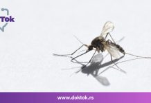 ДокТок: Уједи инсеката и ризици које са собом носе ДокТок: Уједи инсеката и ризици које са собом носе