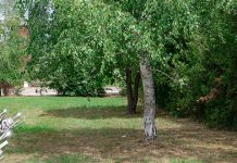 Суво време, уз постепено разведравање Зајечар – Спомен парк-шума Краљевица