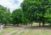 Преподне претежно сунчано, у другом делу дана променљиво облачно Зајечар – Спомен парк-шума Краљевица