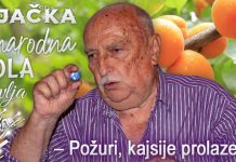 Рајачка народна школа здравља: Пожури, кајсије пролазе!