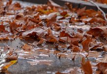 Крај лета, вечерас стиже јесен Јесен, опало лишће