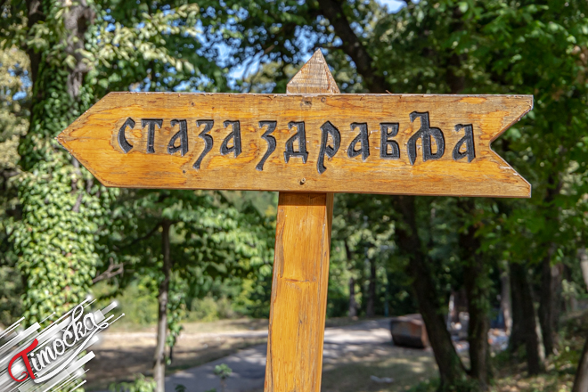 Специјална болница за рехабилитацију „Гамзиград” – Међународни дан физиотерапеута