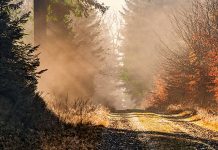 После облачног и магловитог јутра стиже сунчано поподне Јесен, магла, сунце