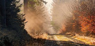 После облачног и магловитог јутра стиже сунчано поподне Јесен, магла, сунце