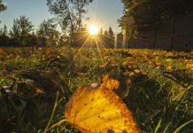 Летњи дан у Србији, највиша дневна температура до 26 степени Јесен, сунце