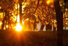 Ујутру слаб и умерен мраз, преко дана сунчано и хладно Јесен, сунце