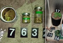 Акција „Гнев”: Ухапшен мушкарац из Сокобање, претресом стана пронађени наркотици