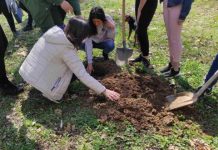 Трећа акција „Посади свој хлад” Трећа акција „Посади свој хлад”