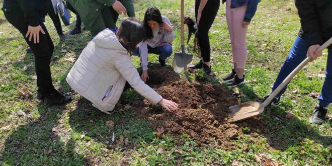 Трећа акција &bdquo;Посади свој хлад&rdquo;