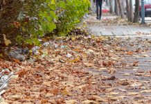 Облачно и хладно време, понегде са слабом кишом Град Зајечар – Јесен