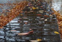 Кишно јутро, највиша дневна температура до 20 степени Јесен, лишће, киша