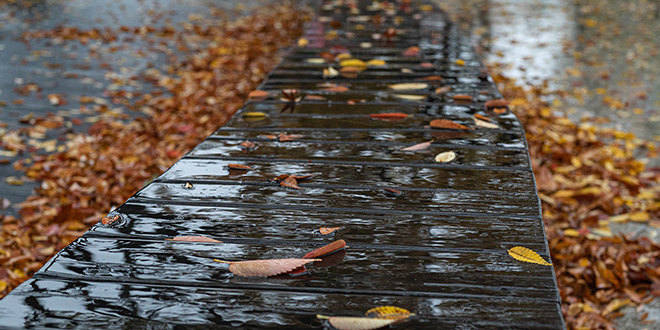Jesen, lišće, kiša
