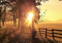 Ујутру мраз и хладно, преко дана више сунчаних интервала Јесен, сунце, магла