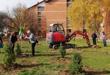 У току реализација пројекта пошумљавања у Неготину Неготин: У току реализација пројекта пошумљавања