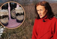 Бобице пуне здравља: Производи од ароније као сувенири из Зајечара (ВИДЕО) Бобице пуне здравља: Производи од ароније као сувенири из Зајечара